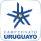 Primera Division 2025, Apertura