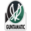 SV Ried