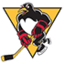 Wilkes-Barre/Scranton Penguins