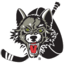 Chicago Wolves