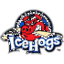Rockford IceHogs