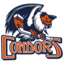 Bakersfield Condors