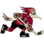 Tucson Roadrunners