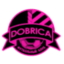 FC Dobrica