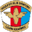 Czarni Sosnowiec W