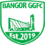 Bangor Gg FC