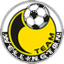 Team Wellington crest