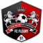 FC Fleury 91
