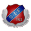 Saevedalens IF