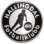 Hallingdal FK