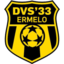 DVS 33