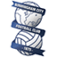 Birmingham City U23 crest