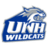 New Hampshire Wildcats