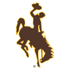 Wyoming Cowboys