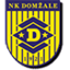 Domzale U19 crest
