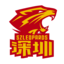 Shenzhen Leopards