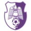 ACS Champions FC Arges