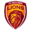 FC Bulleen Lions