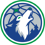 Minnesota Timberwolves