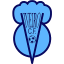 Viveiro CF