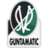 SV Ried