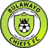 Bulawayo Chiefs