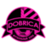 FC Dobrica