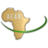 AE Africanos Braganca