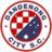 Dandenong City U21