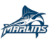 VA Wesleyan Blue Marlins