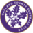 Oakland County FC