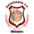 Artesanos Metepec FC