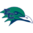 Endicott Gulls