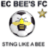 The Bees FC