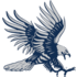 Dickinson State Blue Hawks