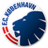 FC Copenhagen U19