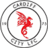 Cardiff City Lfc
