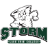 Lake Erie College Storm