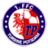 1. FFC Turbine Potsdam W