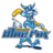 Herning Blue Fox