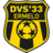 DVS 33