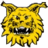 Tampereen Ilves W