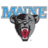 Maine Black Bears