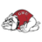 Gardner-Webb Runnin' Bulldogs