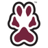 Southern Illinois Salukis