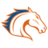 Texas Arlington Mavericks