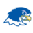 Notre Dame College of Ohio Blue Falcons