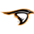 Anderson Ravens