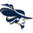 Montreat Cavaliers