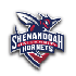 Shenandoah Hornets